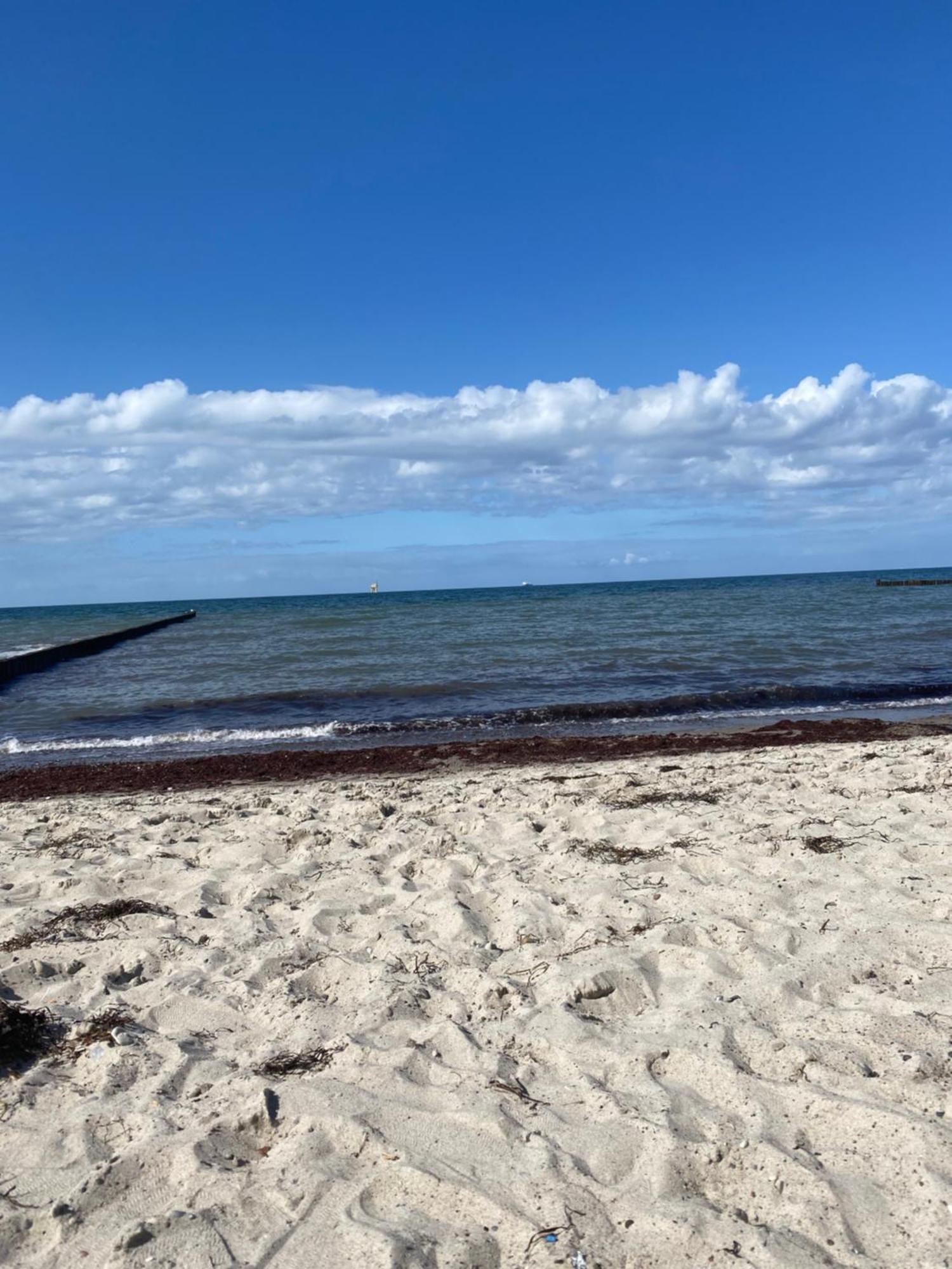 Ostsee-Ferienwohnung-Lipsia Ostseebad Nienhagen Εξωτερικό φωτογραφία